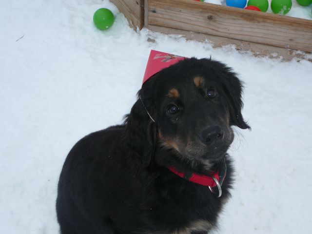Finja